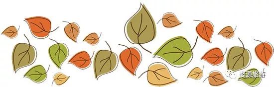 婺源举办茶文化旅游节,婺源茶文化节