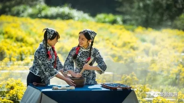 婺源举办茶文化旅游节,婺源茶文化节