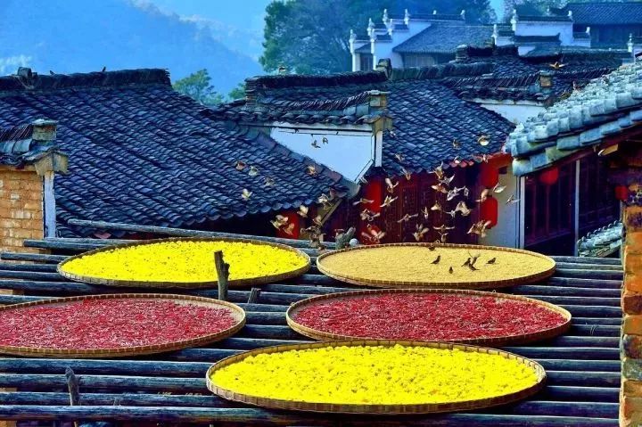 吃了酵素肚子咕咕拉肚子,吃酵素每天都拉肚子