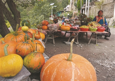 决战决胜脱贫攻坚我县多措并举,加速脱贫攻坚工作纪实