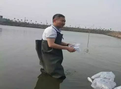 东西湖新型职业农民 (相城区新型职业农民)