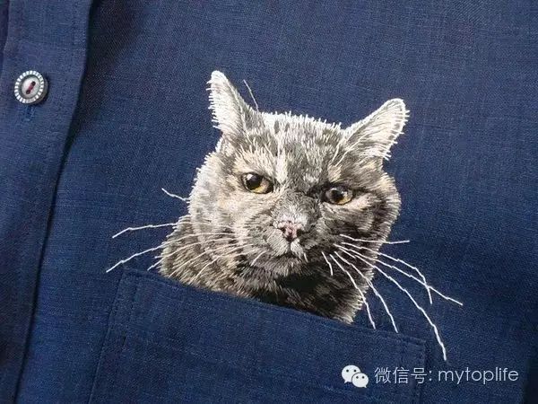 潮流趋势：日本艺术家将猫放在口袋里带出门