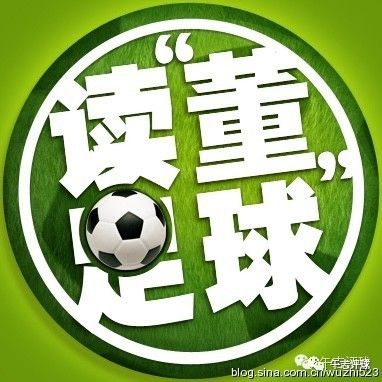 冰岛进入俄罗斯世界杯之路,足球冰岛进世界杯