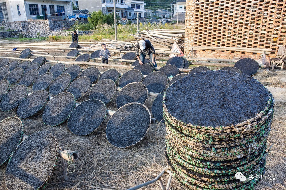 宁波的美食好吃吗,宁波有没有好吃的东西