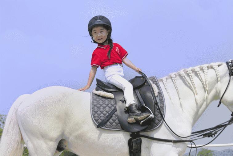 萧山最大的马场在哪里,萧山新建马场