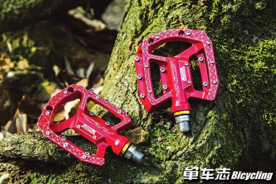 脚踏实地尽享骑趣9款速降平板脚踏推荐