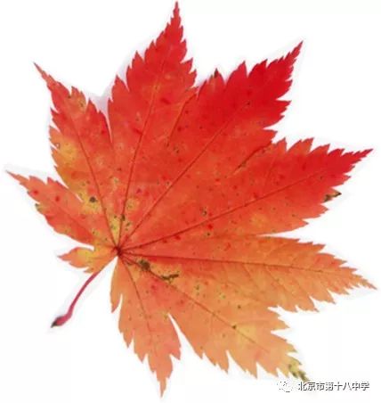 浜ゆ祦浠栧浗鏂囧寲,涓鏂囧寲浜ゆ祦瀛︾敓