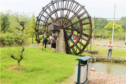 美丽乡村建设参观沟通学习,参观学习美丽乡村典型经验