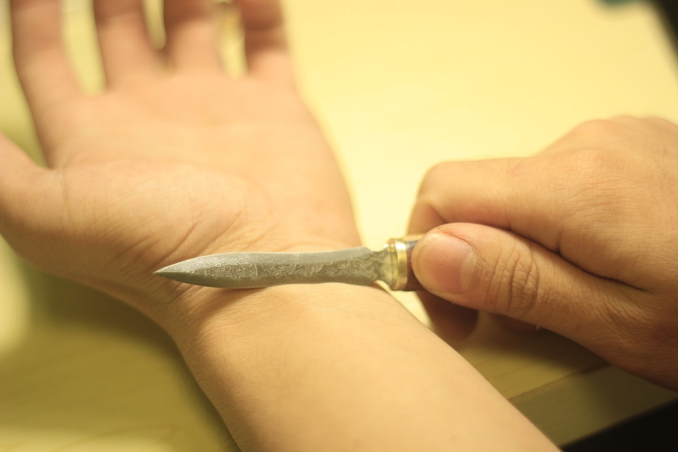 豆瓣日记:高兴哥手把手教你玩木头之『大马士革茶刀见过没？』