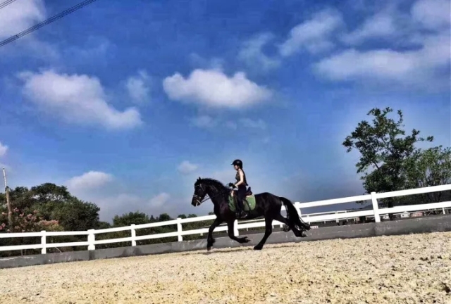 萧山最大的马场在哪里,萧山新建马场