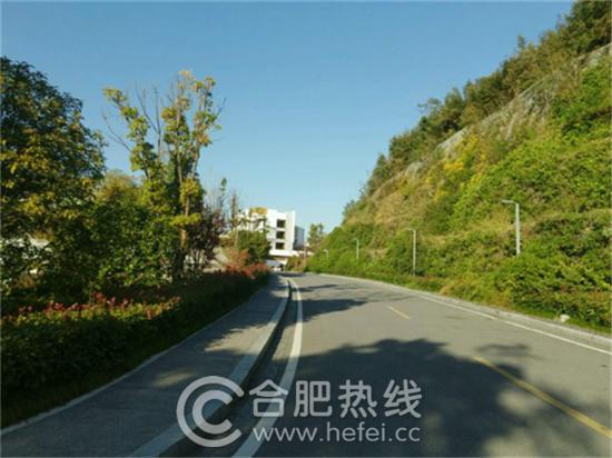 瀹犵墿鏂版父,瀹犵墿鏃呮父瓒嬪娍