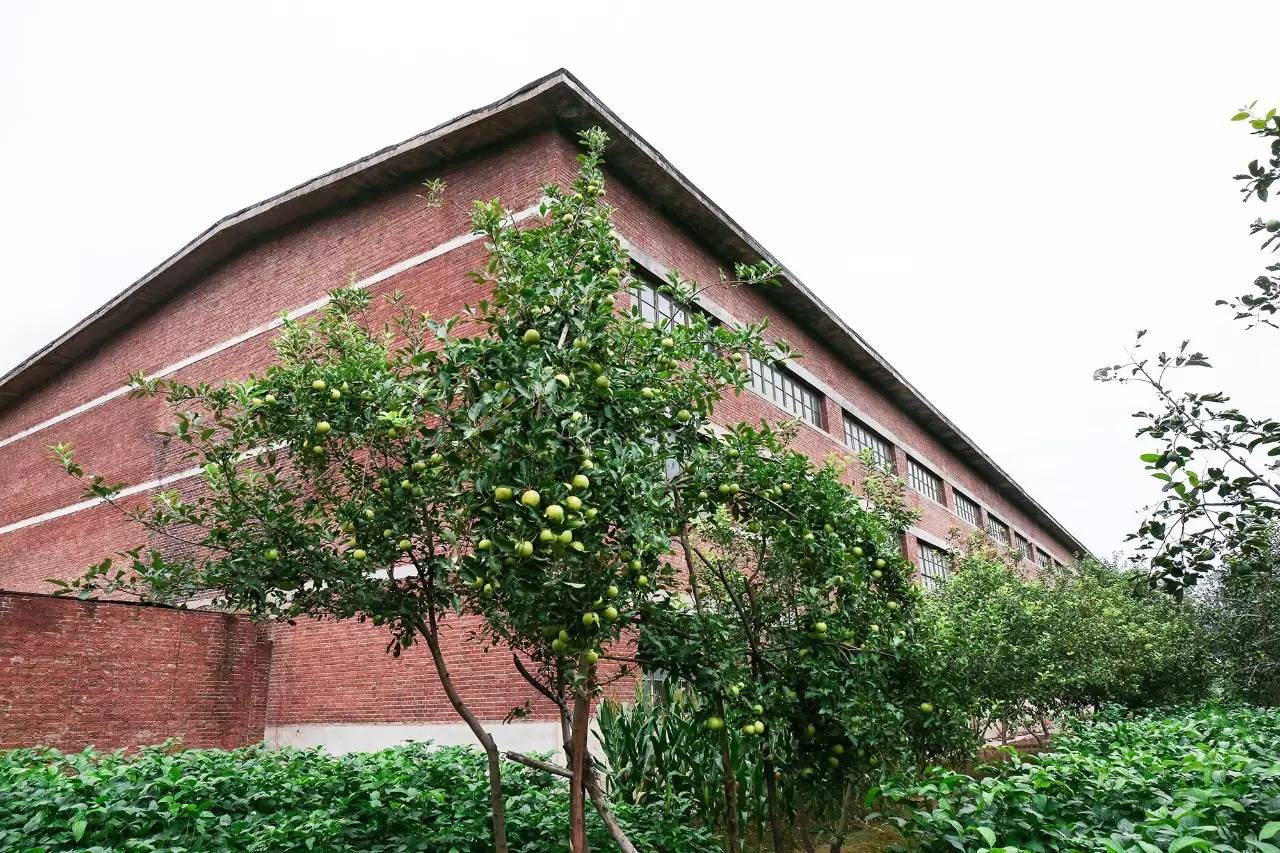 李桥北京,李桥时代艺术区