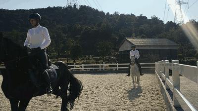 萧山最大的马场在哪里,萧山新建马场