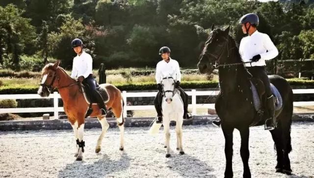 萧山最大的马场在哪里,萧山新建马场