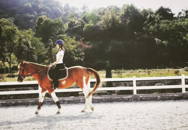 萧山最大的马场在哪里,萧山新建马场