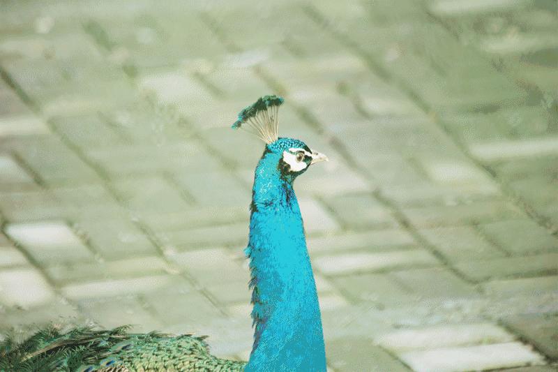 萧山最大的马场在哪里,萧山新建马场