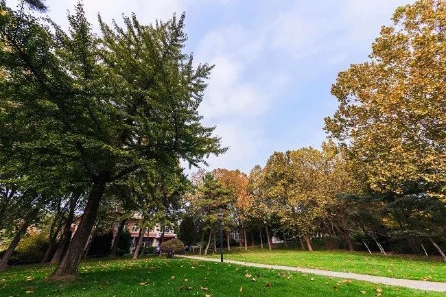 久久重阳，登高望远，大连棒棰岛景区推出敬老优惠