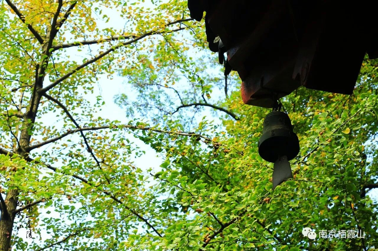 寺庙的风铃有啥含义,寺院的风铃代表什么意思