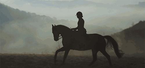 萧山最大的马场在哪里,萧山新建马场