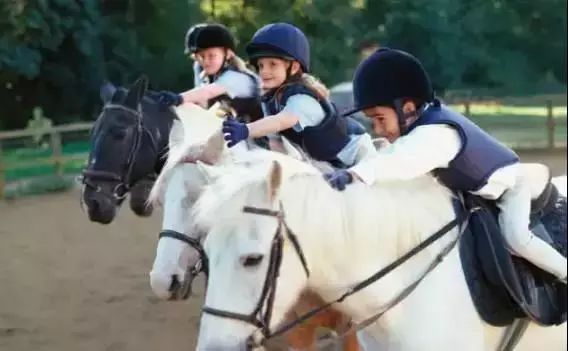 萧山最大的马场在哪里,萧山新建马场