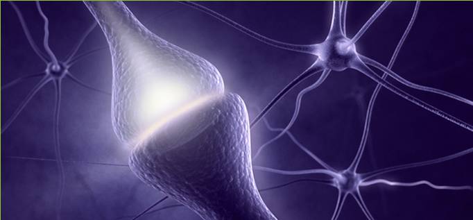 《柳叶刀》子刊：MIT大牛科学家发明神奇功能饮料，可显著延缓早期阿尔茨海默病患者认知衰退｜临床大发现