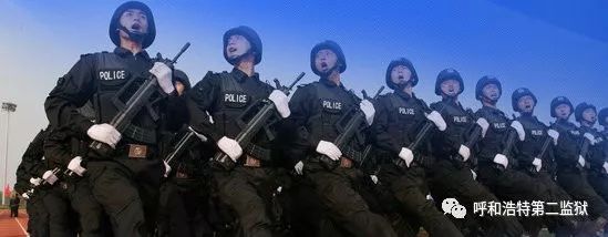 孙晓龙的全部视频,孙晓龙黑龙江