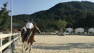 萧山最大的马场在哪里,萧山新建马场