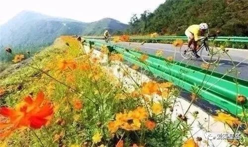 酷爆啦！秦皇岛0元生活指南出炉，即将“吃土”的你一定会收藏！