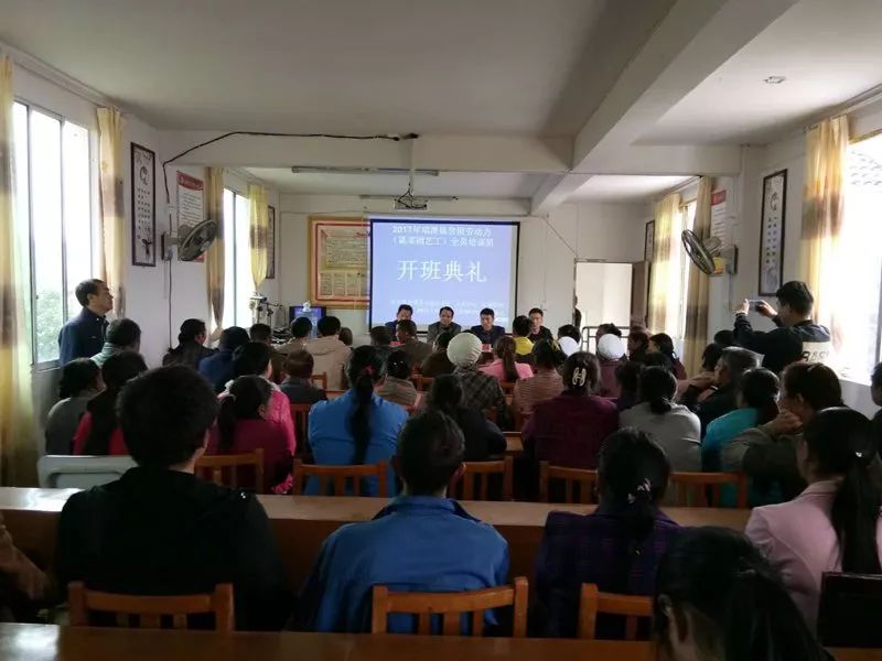 学炒菜大全家常,我跟妈妈学炒菜