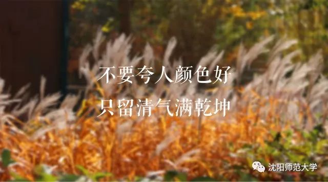 听书明朝那些事儿,听书明朝那些事42