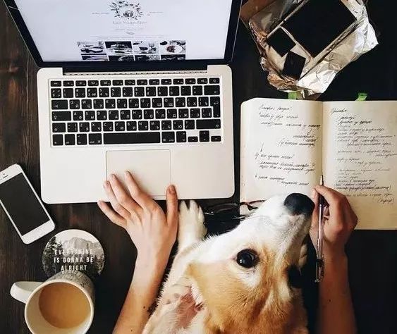 单身不是一种选择,单身不是一种状态而是一种选择