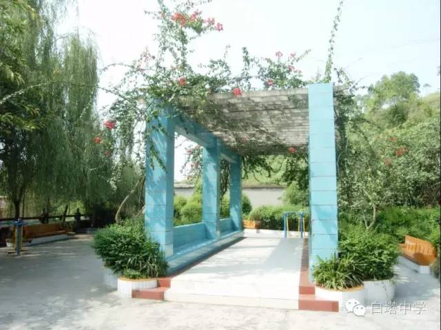 威远校园足球比赛奖杯,威远足球队最新比赛小学