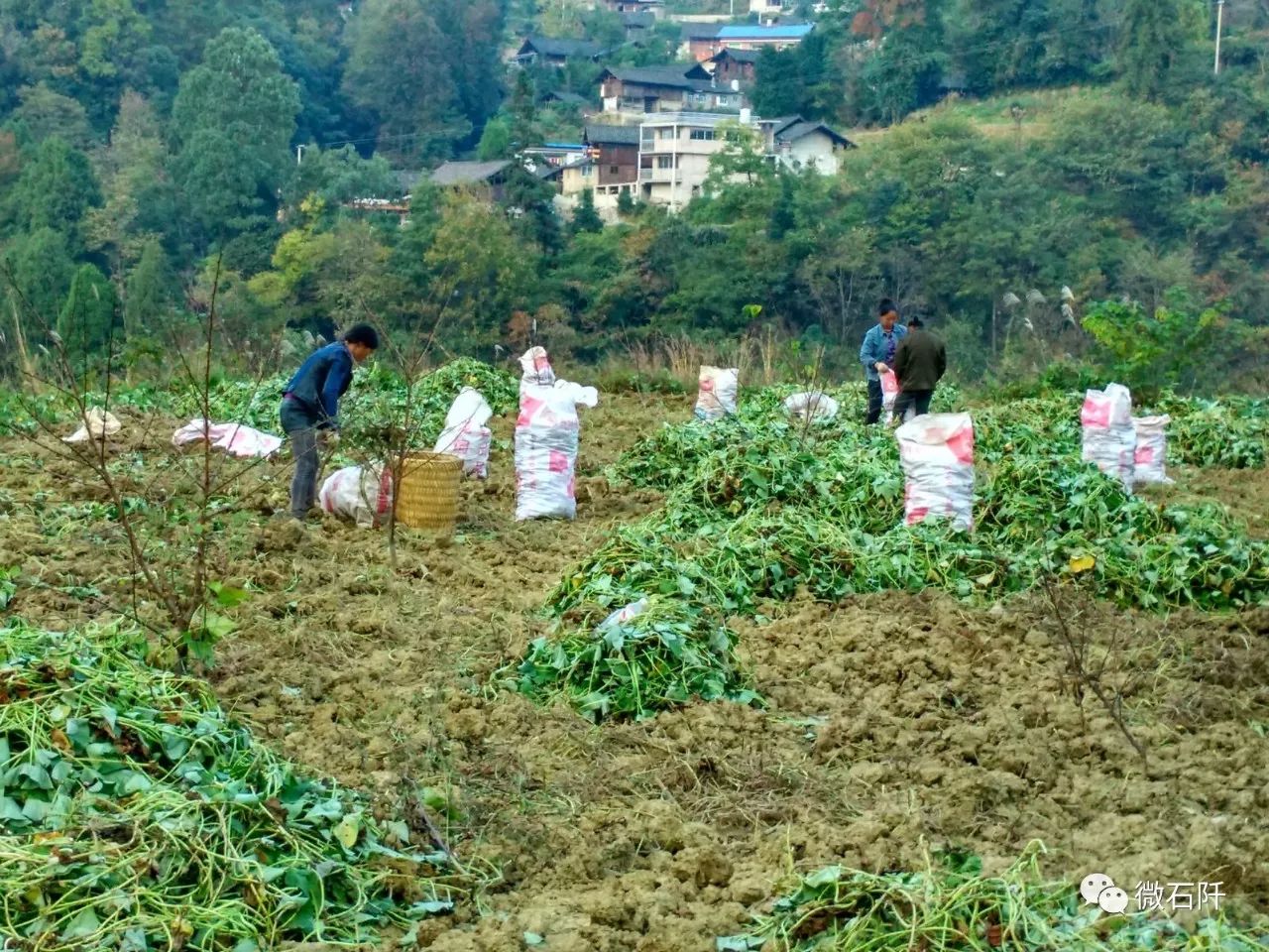 “阡货”出山，全靠有它！