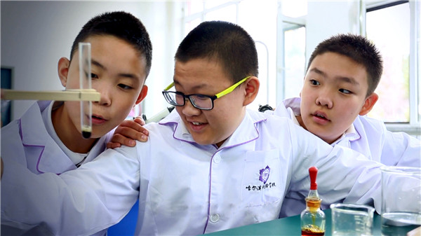 哈尔滨教育资源改革,哈尔滨教育的发展历程