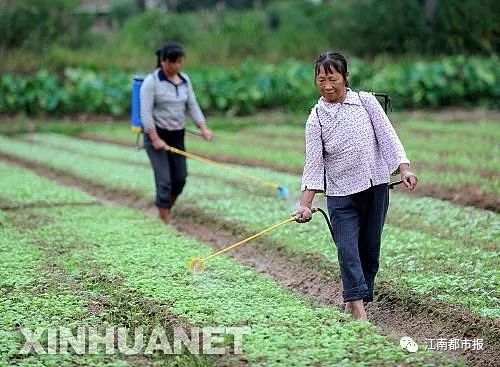 强镇扩权什么意思,强镇扩权