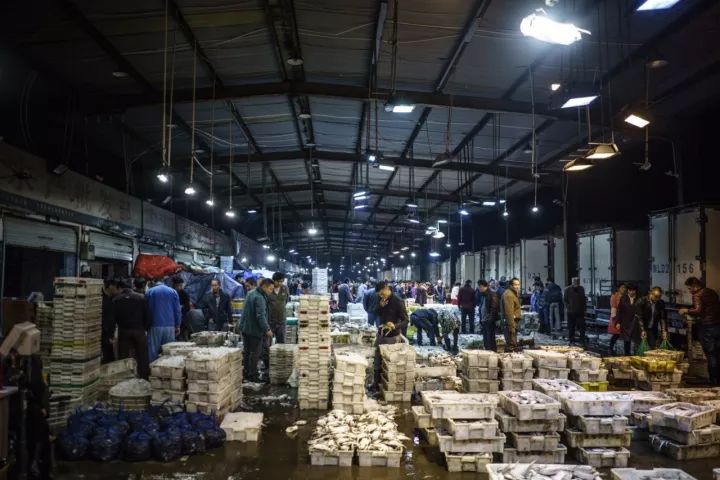 上海吃海鲜必去的地方推荐,距离上海2小时内车程的景点