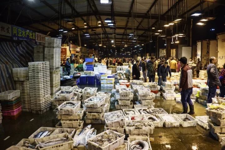 上海吃海鲜必去的地方推荐,距离上海2小时内车程的景点