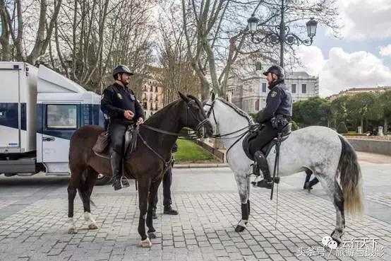 走马观市,走马观城完整版