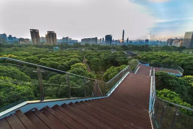 又多了一个免费约会公园！空中栈道、荔枝林、*瑰园玫**，环境超棒的！