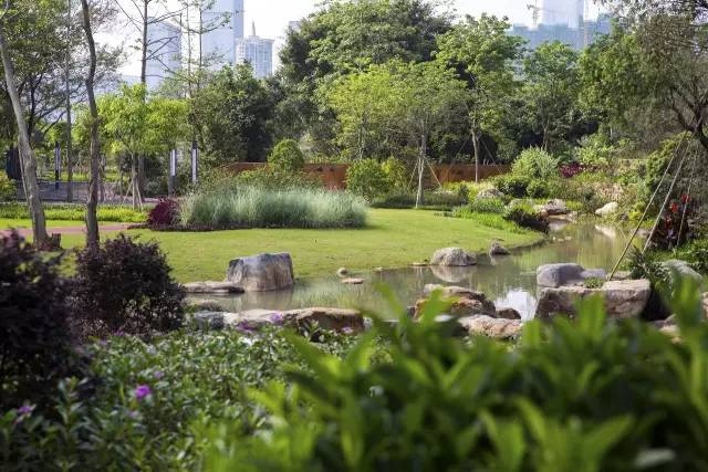 又多了一个免费约会公园！空中栈道、荔枝林、*瑰园玫**，环境超棒的！