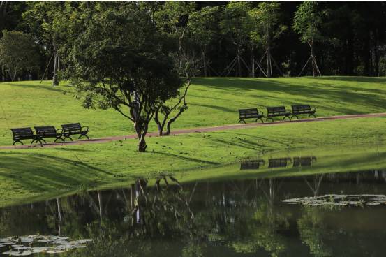 又多了一个免费约会公园！空中栈道、荔枝林、*瑰园玫**，环境超棒的！