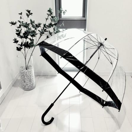 英国女王的彩虹伞,英国女王撑油纸伞