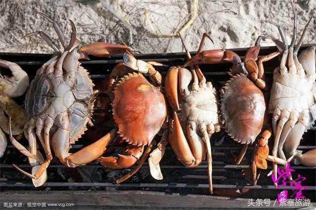 农家院采摘联盟（紫塞）乡村游攻略十六：唐山乐亭老船家农家院