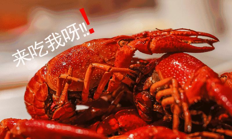 有必要去学习小龙虾技术吗,想学小龙虾应该从哪里做起