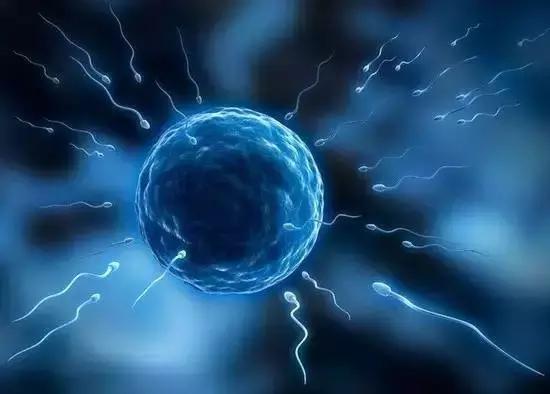 受孕没着床有多大几率不会怀上,原来备孕这么难