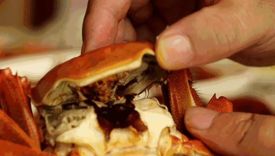 鲜冠阳澄湖大闸蟹,舌尖上的美味大闸蟹