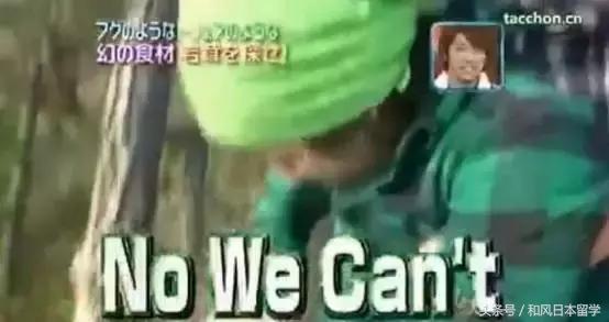 横山裕经历,横山裕到底有多厉害