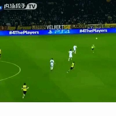 足坛人物志马尔科罗伊斯,马尔科罗伊斯个人资料