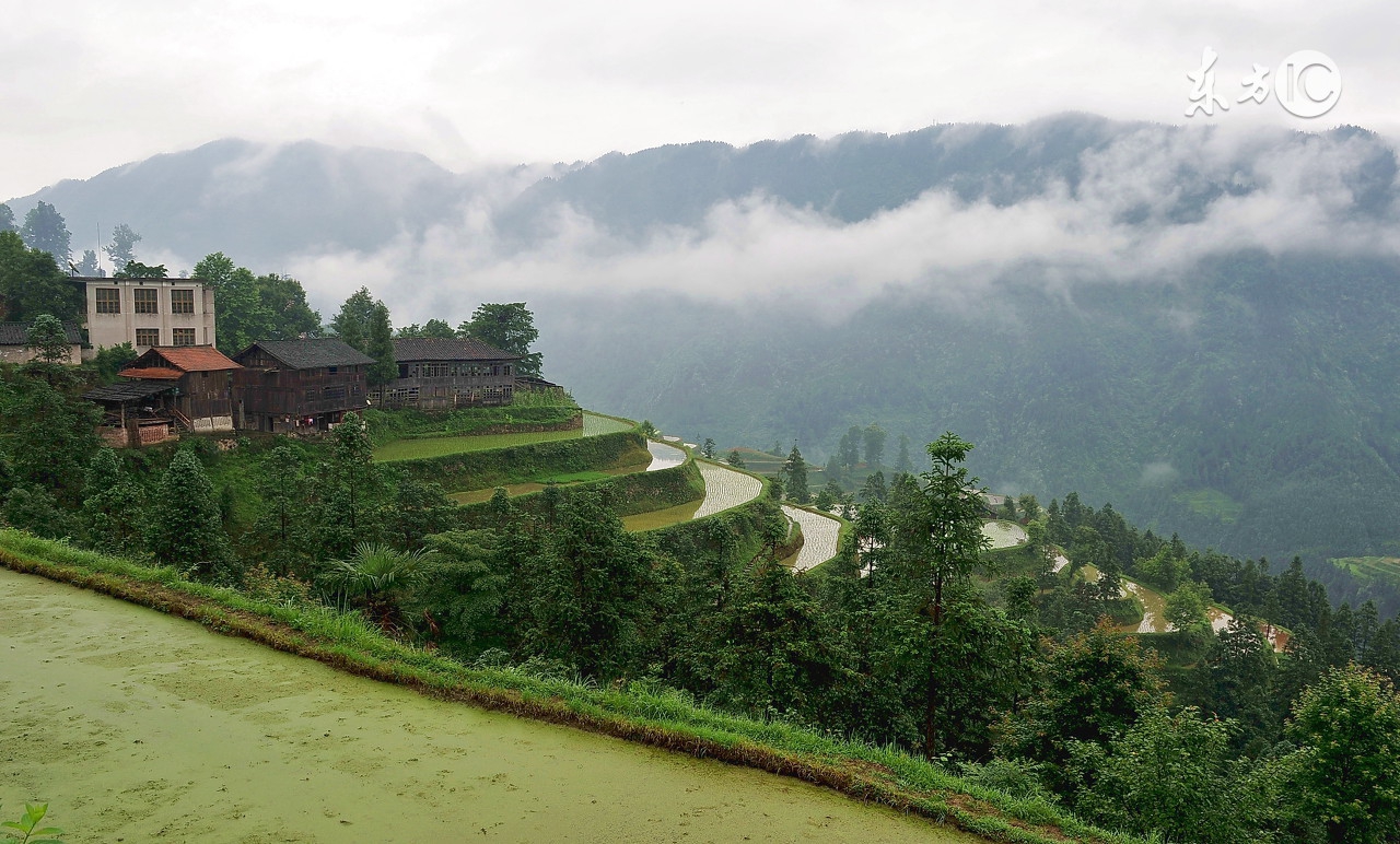 八字命理术语100个学八字必知基础,八字奥秘带你了解八字命理