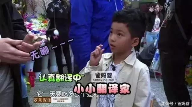 黄多多和李嫣谁有楷模,李嫣黄多多年收入